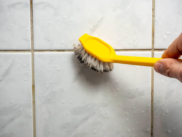Best Kitchen Mold Remediation in Lake Sconsin, WI