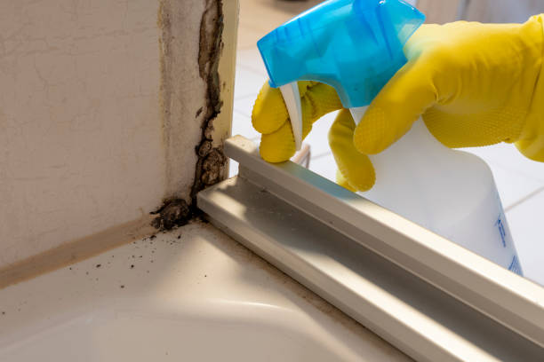 Best Industrial Mold Remediation in Lake Sconsin, WI