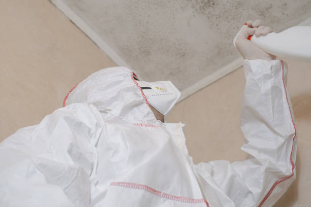 Best Crawl Space Mold Remediation in Lake Sconsin, WI